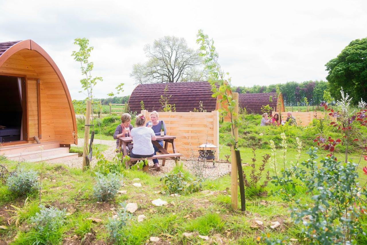 Mallow Glamping Pod Cheltenham Extérieur photo