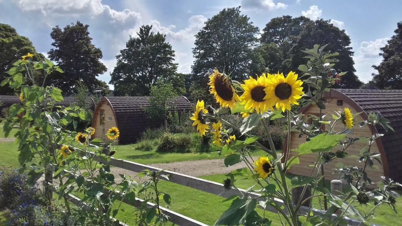 Mallow Glamping Pod Cheltenham Extérieur photo
